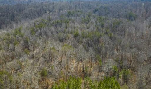 Photo of SOLD!!  44.70 Acres of Multi-Use Land For Sale in Caswell County NC!