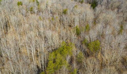 Photo of SOLD!!  44.70 Acres of Multi-Use Land For Sale in Caswell County NC!