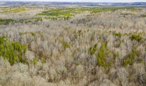 Photo of SOLD!!  44.70 Acres of Multi-Use Land For Sale in Caswell County NC!