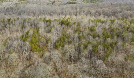 Photo of SOLD!!  44.70 Acres of Multi-Use Land For Sale in Caswell County NC!