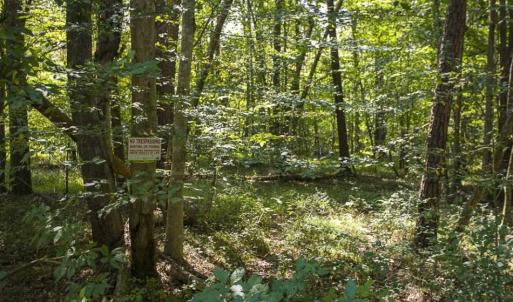 Photo of SOLD!!  44.70 Acres of Multi-Use Land For Sale in Caswell County NC!