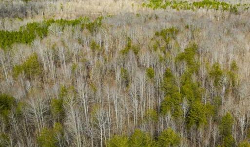 Photo of SOLD!!  44.70 Acres of Multi-Use Land For Sale in Caswell County NC!