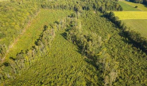 Photo of UNDER CONTRACT!!  92.5 Acres of Multi-Use Land for Sale in Person County NC!
