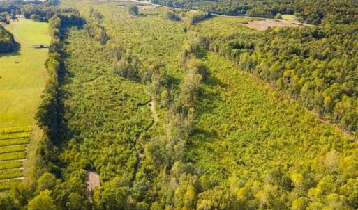 Photo of UNDER CONTRACT!!  92.5 Acres of Multi-Use Land for Sale in Person County NC!