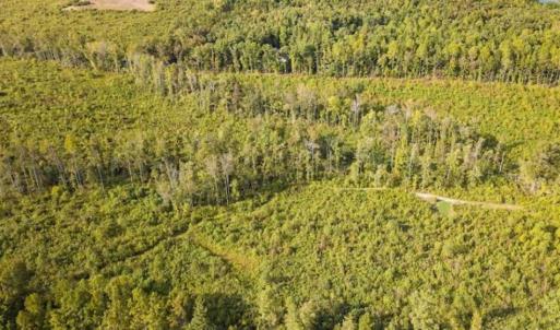 Photo of UNDER CONTRACT!!  92.5 Acres of Multi-Use Land for Sale in Person County NC!