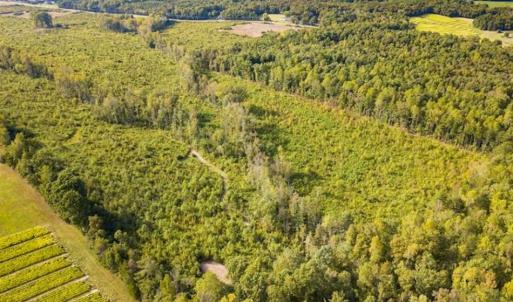 Photo of UNDER CONTRACT!!  92.5 Acres of Multi-Use Land for Sale in Person County NC!