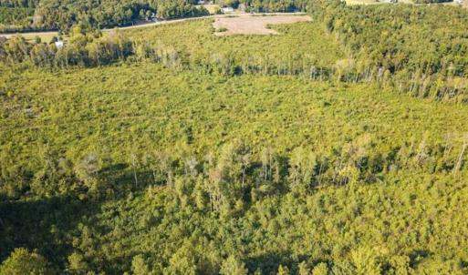 Photo of UNDER CONTRACT!!  92.5 Acres of Multi-Use Land for Sale in Person County NC!