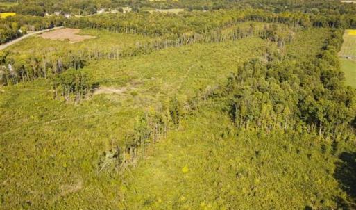 Photo of UNDER CONTRACT!!  92.5 Acres of Multi-Use Land for Sale in Person County NC!