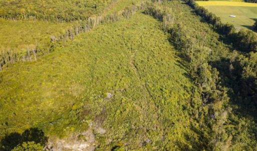 Photo of UNDER CONTRACT!!  92.5 Acres of Multi-Use Land for Sale in Person County NC!