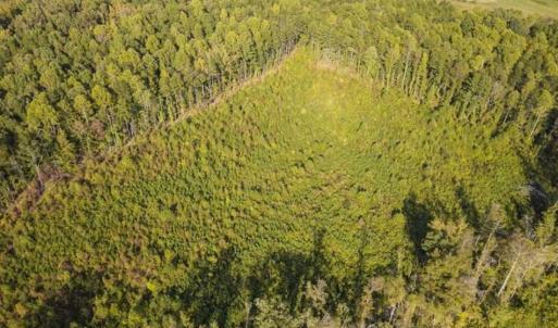 Photo of UNDER CONTRACT!!  92.5 Acres of Multi-Use Land for Sale in Person County NC!