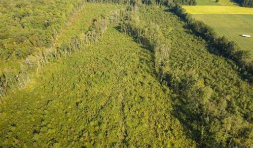 Photo of UNDER CONTRACT!!  92.5 Acres of Multi-Use Land for Sale in Person County NC!