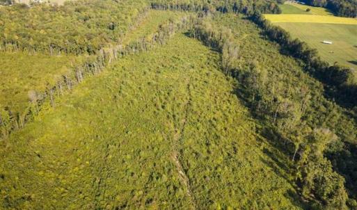 Photo of UNDER CONTRACT!!  92.5 Acres of Multi-Use Land for Sale in Person County NC!