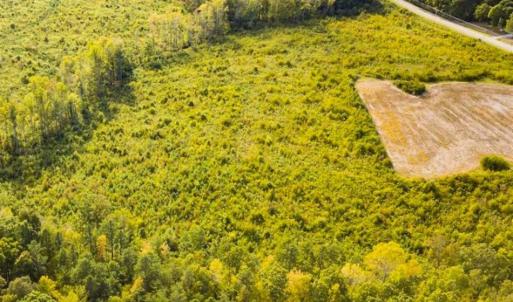 Photo of UNDER CONTRACT!!  92.5 Acres of Multi-Use Land for Sale in Person County NC!