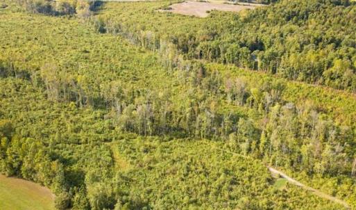 Photo of UNDER CONTRACT!!  92.5 Acres of Multi-Use Land for Sale in Person County NC!