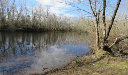 Photo of SOLD!  56.88 Acres of Residential and Recreational Land in Duplin County NC!