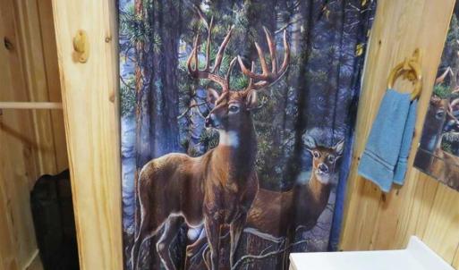 Photo of SOLD!  56.88 Acres of Residential and Recreational Land in Duplin County NC!