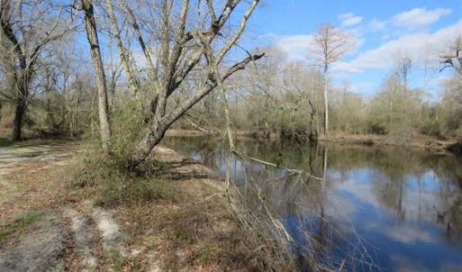Photo of SOLD!  56.88 Acres of Residential and Recreational Land in Duplin County NC!