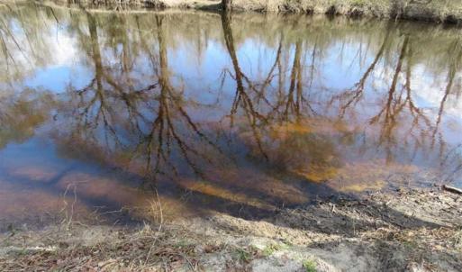 Photo of SOLD!  56.88 Acres of Residential and Recreational Land in Duplin County NC!