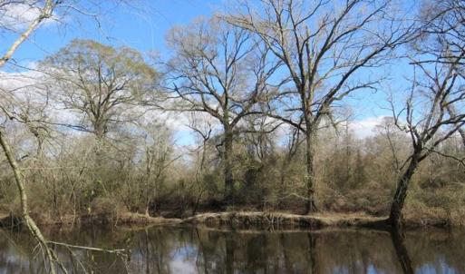 Photo of SOLD!  56.88 Acres of Residential and Recreational Land in Duplin County NC!