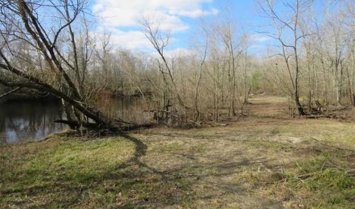 Photo of SOLD!  56.88 Acres of Residential and Recreational Land in Duplin County NC!