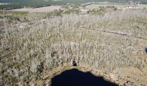 Photo of SOLD!!  220 Acres of Hunting Land for Sale in Tyrrell County NC!