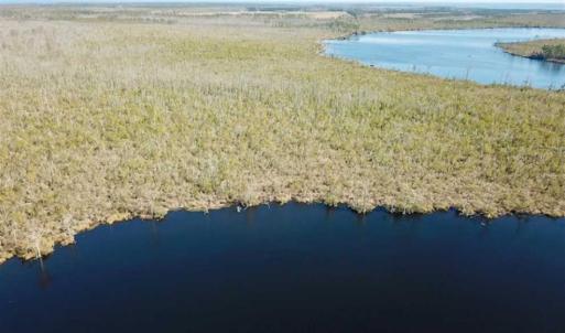 Photo of SOLD!!  220 Acres of Hunting Land for Sale in Tyrrell County NC!