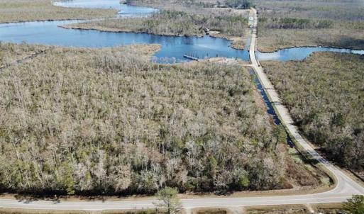 Photo of SOLD!!  220 Acres of Hunting Land for Sale in Tyrrell County NC!