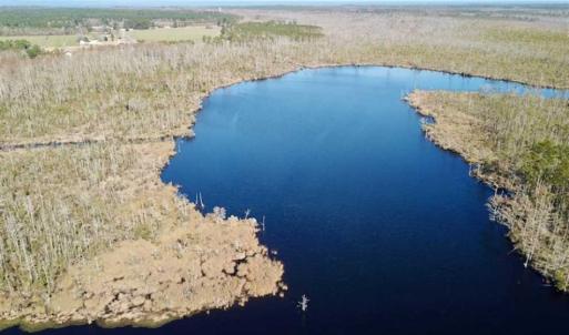 Photo of SOLD!!  220 Acres of Hunting Land for Sale in Tyrrell County NC!