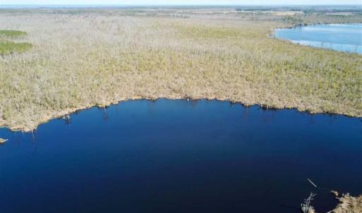 Photo of SOLD!!  220 Acres of Hunting Land for Sale in Tyrrell County NC!