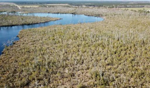 Photo of SOLD!!  220 Acres of Hunting Land for Sale in Tyrrell County NC!