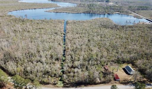 Photo of SOLD!!  220 Acres of Hunting Land for Sale in Tyrrell County NC!