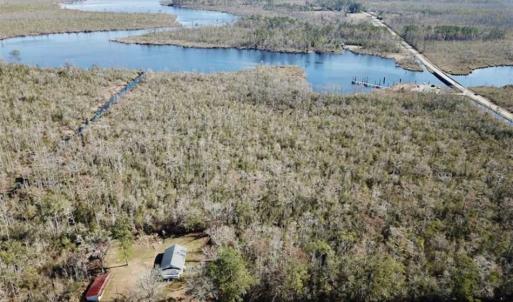 Photo of SOLD!!  220 Acres of Hunting Land for Sale in Tyrrell County NC!