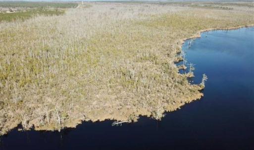 Photo of SOLD!!  220 Acres of Hunting Land for Sale in Tyrrell County NC!