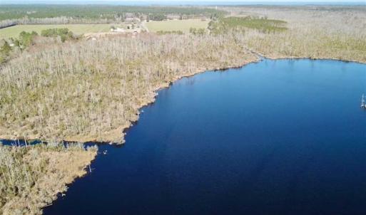 Photo of SOLD!!  220 Acres of Hunting Land for Sale in Tyrrell County NC!