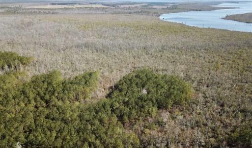 Photo of SOLD!!  220 Acres of Hunting Land for Sale in Tyrrell County NC!