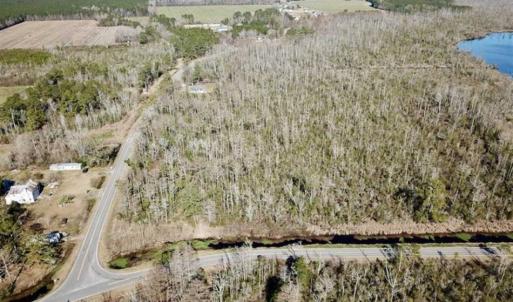 Photo of SOLD!!  220 Acres of Hunting Land for Sale in Tyrrell County NC!