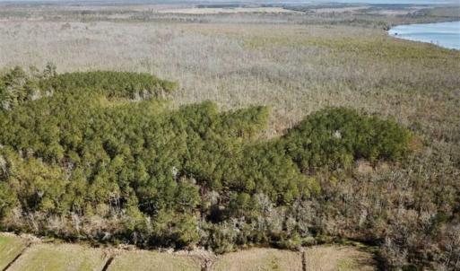 Photo of SOLD!!  220 Acres of Hunting Land for Sale in Tyrrell County NC!
