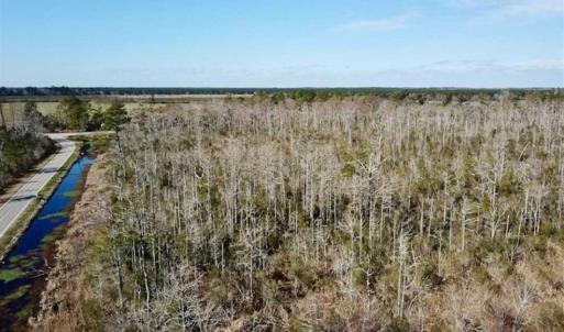 Photo of SOLD!!  220 Acres of Hunting Land for Sale in Tyrrell County NC!