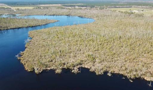 Photo of SOLD!!  220 Acres of Hunting Land for Sale in Tyrrell County NC!