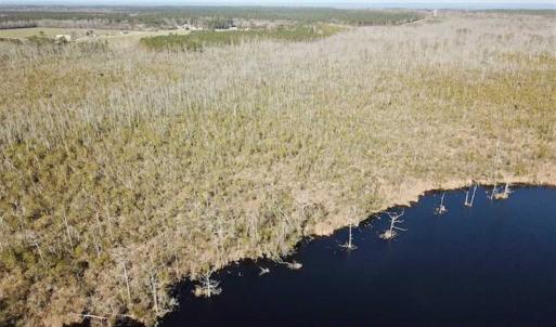 Photo of SOLD!!  220 Acres of Hunting Land for Sale in Tyrrell County NC!