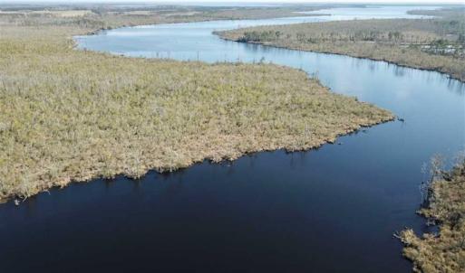 Photo of SOLD!!  220 Acres of Hunting Land for Sale in Tyrrell County NC!