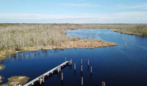 Photo of SOLD!!  220 Acres of Hunting Land for Sale in Tyrrell County NC!