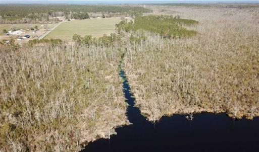 Photo of SOLD!!  220 Acres of Hunting Land for Sale in Tyrrell County NC!