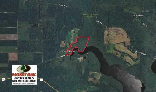 Photo of SOLD!!  220 Acres of Hunting Land for Sale in Tyrrell County NC!