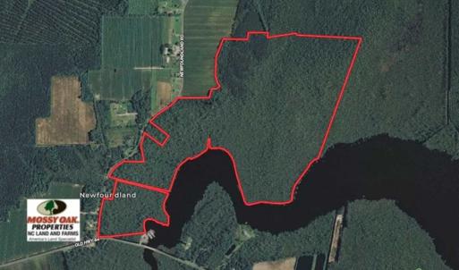Photo of SOLD!!  220 Acres of Hunting Land for Sale in Tyrrell County NC!