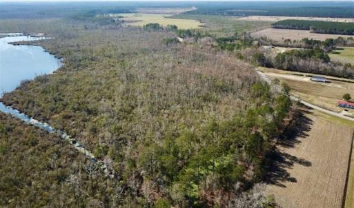 Photo of SOLD!!  220 Acres of Hunting Land for Sale in Tyrrell County NC!