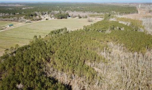 Photo of SOLD!!  220 Acres of Hunting Land for Sale in Tyrrell County NC!