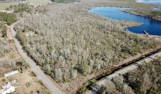 Photo of SOLD!!  220 Acres of Hunting Land for Sale in Tyrrell County NC!