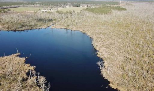 Photo of SOLD!!  220 Acres of Hunting Land for Sale in Tyrrell County NC!