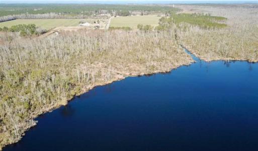 Photo of SOLD!!  220 Acres of Hunting Land for Sale in Tyrrell County NC!